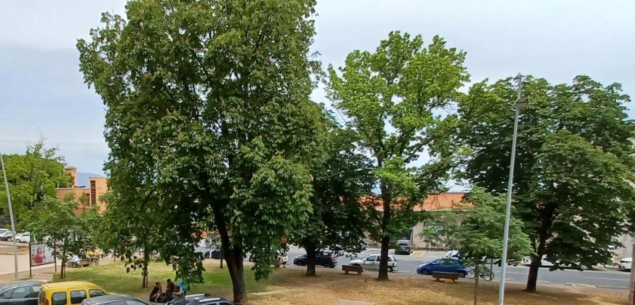 Luminosissimo Appartamento Viareggio Centro Exteriér fotografie